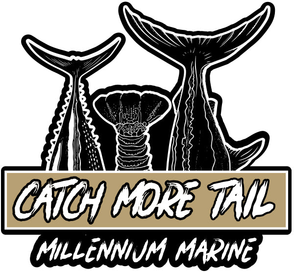 Catch More Tail Fish Sticker (3 tails)