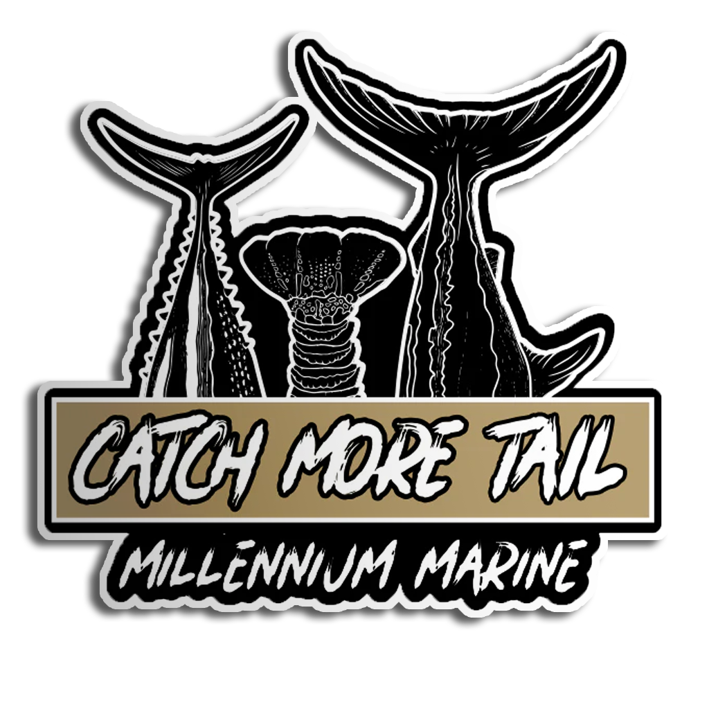 Catch More Tail Fish Sticker (3 tails)