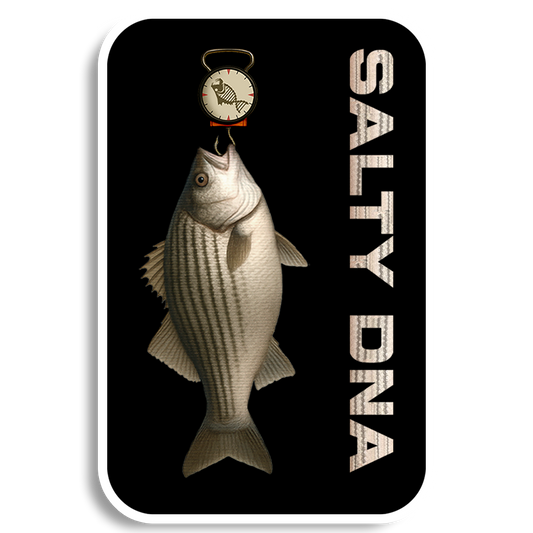 Salty Species Bass Stickers