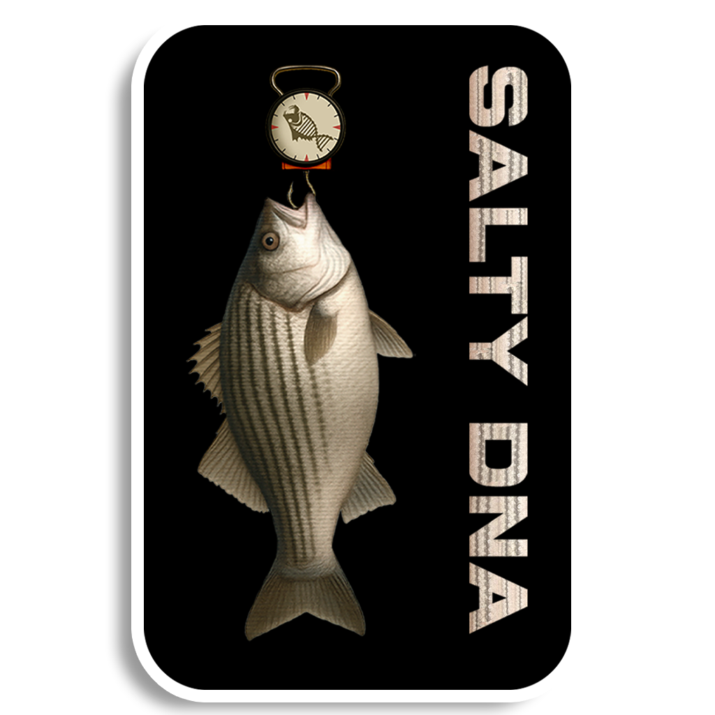 Salty DNA Species Bass Bundle