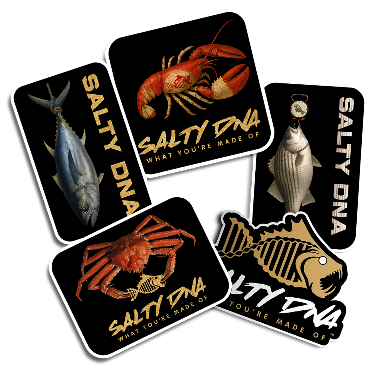 Salty DNA Stickers Bundle
